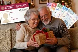 Los adultos mayores que disfrutan de los beneficios de la tarjeta del INAPAM, podrán integrarse a uno de los más recientes programas de ‘Vinculación Productiva de las Personas Adultas Mayores’.