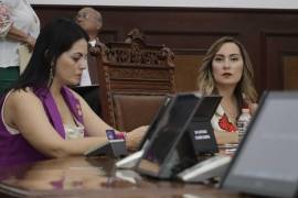 Según la diputada Magally Hernández (d) de Morena, que en las escuelas vendan comida chatarra está el origen del sobrepeso infantil en el país.