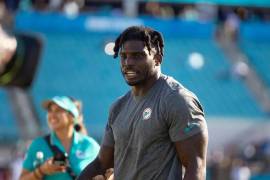 El receptor, agente libre, parecía tener encaminado su regreso a la NFL y su agente, Drew Rosenhaus, aseguraba que podía firmar con un equipo esta misma semana.