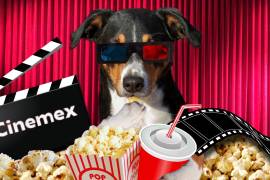 Con el propósito de pasar un tiempo familiar o una cita con amistades o pareja, Cinemex dio a conocer una de sus primeras promociones de este 2025, llamada ‘Cinemex Manía’.