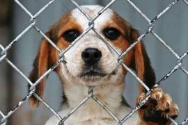 Autoridades llaman a denunciar casos y detallan el proceso gradual de atención antes de llegar a sanciones.