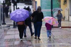 Se prevén lluvias intensas en Veracruz, Tabasco y Chiapas, descenso de temperaturas en el noreste, oriente y centro del país, además de vientos fuertes en diversas regiones, advierte el SMN