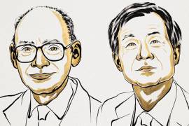 Henri Kagan y Kenso Soai recibieron el Premio Nobel de Química 2026 por sus descubrimientos sobre autocatálisis y efectos no lineales que ayudan a explicar el origen de la homoquiralidad.