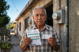 La tarjeta de adultos mayores del INAPAM NO aplica para descuentos en la factura de electricidad de la CFE.