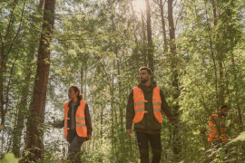 ONG considera buscar desaparecidos, una actividad de alto riesgo