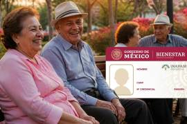 El próximo 28 de agosto en México se conmemorará el Día de los Abuelos, desde 1980 este día es destinado a las personas adultas mayores en casa con el fin de reconocer su trabajo y sabiduría.