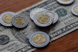 El dólar despidió la semana en 19.08 pesos en sucursales de Banamex, 23 centavos por arriba del jueves.