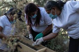 Colectivo de madres buscadoras en fosa clandestina.
