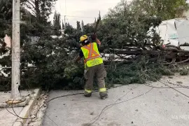 Para el domingo 15 de febrero, el Frente Frío número 34 y una vaguada polar se desplazarán sobre el norte del golfo de México, dejando de afectar al país, según el pronóstico del SMN de la Conagua.