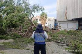 Mediante la actualización del atlas, se logra la prevención de desastres, sobre todo en zonas de mayor riesgo.