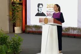 El Gobierno de México realizará una Jornada Nacional de Reforestación en las 32 entidades, con la participación de casi 236 mil personas y una meta de 6.6 millones de árboles y plantas