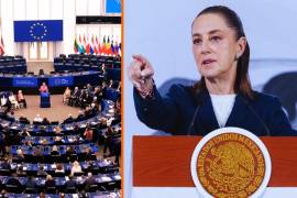 ”Estamos abriendo otros horizontes (...) porque tenemos que proteger también nuestra economía”, destacó la presidenta de México.