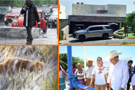 Noticias del fin de semana: ‘Se acabó la violencia contra las mujeres’; pronóstico de clima y nacen bisontes en Coahuila