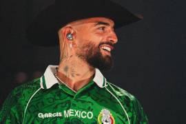 El público aplaudió la intervención del cantante, que pidió mayor conciencia en el cuidado de los menores.