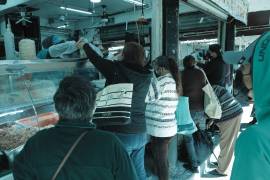 El objetivo de este informe, según Inegi, es ofrecer un referente monetario para determinar si los ingresos mensuales de la población son suficientes para adquirir los productos de las canastas alimentaria.