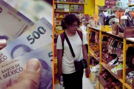 “El objetivo de las Líneas de Pobreza (LP) es ofrecer un referente monetario para determinar si los ingresos mensuales de la población son suficientes para adquirir los productos de las canastas alimentaria y no alimentaria”.