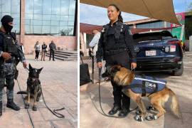 Elementos de la Policía Municipal acompañan a los canes tras el anuncio oficial de su retiro.