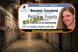 Venezuela liberta presa política perteneciente a Hungría, tras meses de aprisionamiento preventivo