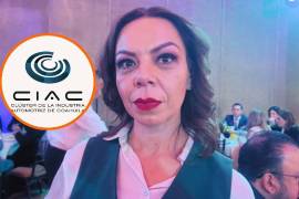 Lourdes Cobos mencionó que a pesar de la baja demanda de vehículos eléctricos se espera una restructuración que permita manejar las perdidas de este mercado.