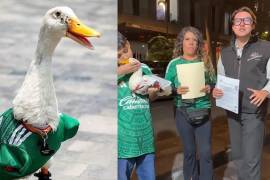 El Pato Merlín se convierte en una marca protegida: tendrá representante, podrá firmar contratos y generar ingresos con actividades comerciales.VANGUARDIA/ARCHIVO