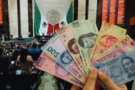 “Del lado del gasto, casi la mitad se destinaría a pensiones, costo financiero y participaciones federales”, observó el IMCO.