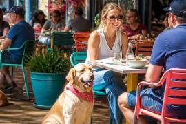 Complejos como Parque Centro y Paseo Villalta han adecuado sus instalaciones al aire libre para responder a la creciente demanda de espacios integrales para mascotas.