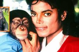 ¿Qué pasó con Bubbles Jackson?