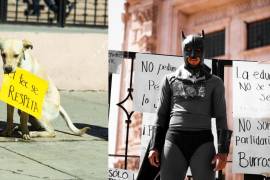 Un simpático perrito se convirtió en un activista temporal, y Batman llegó para ayudar a quien lo requiera.
