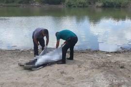 El hallazgo se realizó en un islote cercano al Paseo del Río y al Puente Internacional II.