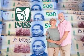 Según con los datos oficiales del Instituto Mexicano del Seguro Social (IMSS), gran parte de los pensionados bajo este esquema tienen derecho a recibir el aguinaldo