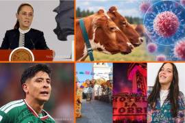 Las noticias más importantes del 22 de octubre en México: CSP afirma que detectaron fraudes en Modalidad 40; Primera muerte por virus Shamonda; ¿Cómo operaba ‘Resistencia’?; ¿Qué hacer en Saltillo? y más.