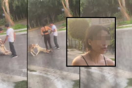 Una mujer posteó en su cuenta de Facebook videos y fotografías del momento en el que otra persona y su perro de raza Husky atacan a otro can hasta quitarle la vida