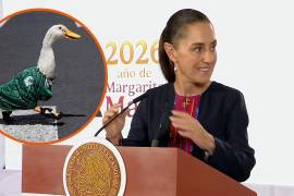 La familia del Pato Merlín, conocido en redes sociales por sus videos con el pato futbolista como protagonista, recibió un departamento a través de un programa de vivienda en la CDMX.