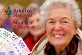 Desde los inicios de este mes, la Secretaría del Bienestar abrió el nuevo periodo de registros para la Pensión Adultos Mayores y la Pensión Mujeres Bienestar, que termina hasta el día 13 de diciembre.