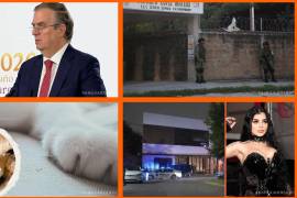 Las noticias más importantes del 29 de julio en México 2026