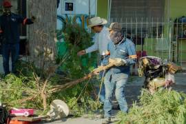 La limpieza del predio fue por parte de las entidades públicas Servicios Primarios y Salud municipal.