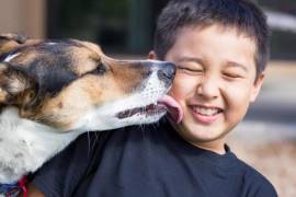 Desde una forma de comunicación hasta una señal de estrés o una búsqueda de atención, todo depende del contexto y de la personalidad de cada mascota.