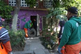 Personal de Servicios Públicos recorre calles de Eduardo Guerra como parte de la jornada intensiva de limpieza.