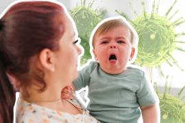 Conocida como la “tos de los 100 días”, la tos ferina, también conocida como pertussis, es una enfermedad respiratoria.