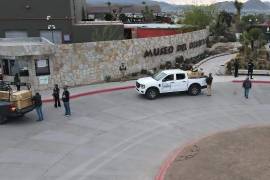 Cuatro lobos grises mexicanos fueron trasladados al Museo del Desierto, en Saltillo, donde permanecerán bajo resguardo especializado como parte de un programa nacional de conservación.