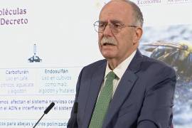 El Gobierno de México anunció la prohibición de 35 plaguicidas altamente peligrosos para la salud humana y el medio ambiente. La medida, publicada en el Diario Oficial de la Federación, marca el inicio de una nueva era de regulación agrícola.