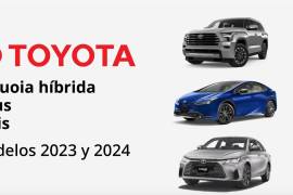 La Profeco, junto a Toyota Motor Sales de México, han hecho un llamado a sus consumidores para la revisión de 17 mil 740 vehículos de diversos modelos y diferentes años.