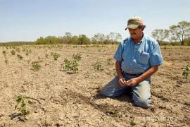 Las esperanzas de los agricultores penden de unas pocas lluvias.