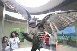 El Museo de las Aves de México inició actividades en el sitio conocido como “El salón de las aves” en donde se exhibió una colección particular de aves del señor Aldegundo Garza de León.