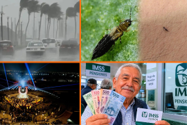 Noticias para el fin de semana: Masa de aire frío se aproxima a México; pequeños insectos invaden a la CDMX y Sheinbaum aumenta Pensión