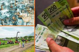 Según el Inegi, el IGAE permite conocer y dar seguimiento a la evolución del sector real de la economía en el corto plazo. Este proporciona valiosa información para la toma de decisiones.