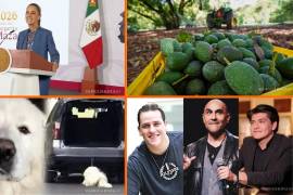 Las noticias más importantes del 13 de agosto en México. Lo más relevante el día de hoy, bajo la cobertura de VANGUARDIA.