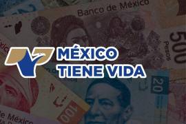 El TEPJF confirmó la sanción del INE contra México Tiene Vida y dejó firme la negativa de su registro como partido político nacional por irregularidades.