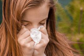 El aumento de temperaturas y vientos intensos en varias regiones del país está generando un ambiente propicio para la dispersión de polvo y polen, factores que pueden detonar alergias respiratorias.