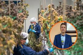 El investigador Eduardo Lara Reimers, explicó la importancia de espacios seguros y educación para un consumo responsable.